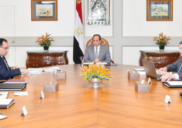 الرئيس السيسي يستعرض الموقف التنفيذي لتطوير شركات قطاع الأعمال العام وسبل النهوض بها