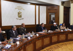 الحكومة: العفو عن بعض المحكوم عليهم بمناسبة الاحتفال بعيد تحرير سيناء