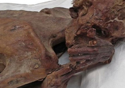 الآثار : المومياوات المضبوطة قبل تهريبها لبلجيكا كانت ستخضع لفحوصات لتأريخها