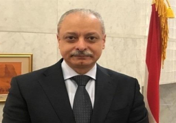 اختتام برنامج تدريب المسعفين المصريين باليابان