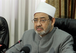 الإمام الأكبر: دعوات المساواة التامة بين الرجل والمرأة تدمر الأسرة