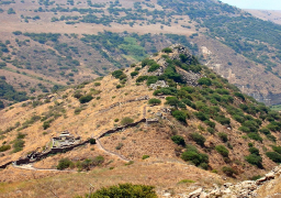 المعارضة السورية: تصريح ترامب بشأن الجولان تحد لحقوق الشعب السوري