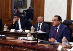 الوزراء يوافق على اتفاق تمويل مشروع تعزيز المواءمة في البيئات الصحراوية