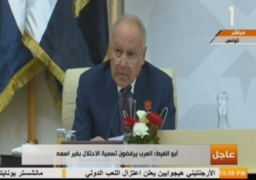 بالصور.. أبو الغيط: الجولان السوري أرض عربية محتلة