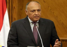 مصر تستضيف اليوم اجتماعا ثلاثيا حول ليبيا