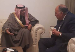 شكري يبحث التعاون الثنائي مع نائب وزير الخارجية الكويتي