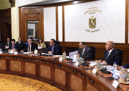 مدبولي يتابع تنفيذ تكليفات الرئيس بطلاء واجهات المباني