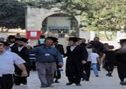 مستوطنون يقتحمون الأقصى وسط دعوات لاقتحامات واسعة الخميس