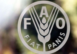 كوريا الجنوبية توافق علي فتح مكتب لمنظمة الفاو في سول