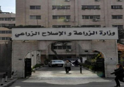 “الزراعة” تؤكد توافر الأمصال الخاصة بفيروس إنفلونزا الطيور