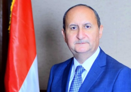 وزير الصناعة: “إل جي” تخطط لإستثمار 17 مليون دولار بمصر
