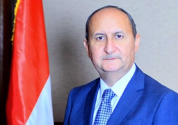 وزير الصناعة: “إل جي” تخطط لإستثمار 17 مليون دولار بمصر