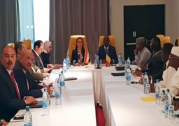 بالصور.. وزيرا الاقتصاد والبنية التحتية في تشاد: السيسى يقود إفريقيا نحو التنمية