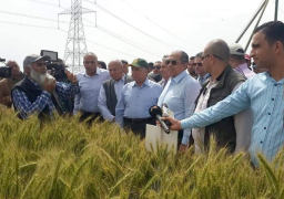 وزير الزراعة يتفقد حقول القمح بكفرالشيخ ويوافق على زيادة مساحة زراعة الأرز لـ 277 ألف فدان