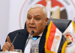 لاشين: تنسيق كامل مع “الهجرة” لتسهيل استفتاء المصريين بالخارج