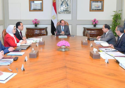 الرئيس السيسي يتابع الإجراءات والخطوات التنفيذية للمرحلة الأولى من مشروع منظومة التأمين الصحي الشامل