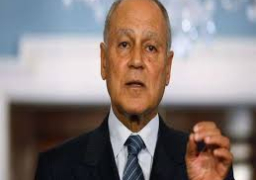 أبو الغيط :أهمية إيجاد آليات مبتكرة لتحقيق الأمن المائي والغذائي