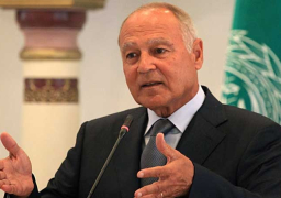 أبو الغيط:افتتاح البرازيل مكتباً تجارياً في القدس خطوةٌ بالاتجاه الخطأ