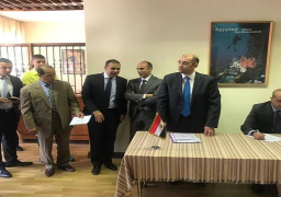 إقبال المصريين في النمسا على المشاركة في استفتاء التعديلات الدستورية