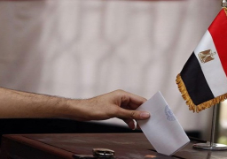 الجريدة الرسمية تنشر دعوة “الوطنية للانتخابات” للناخبين للاستفتاء