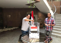 المصريون بالإمارات والعراق والبحرين يصوتون على التعديلات الدستورية