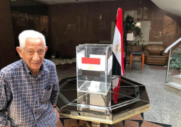 المصريون في السودان يصوتون في الاستفتاء على التعديلات الدستورية