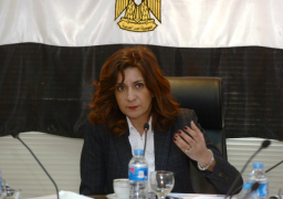 “الهجرة ” تخصص خطوطا ساخنة لمتابعة تصويت المصريين بالخارج في الاستفتاء