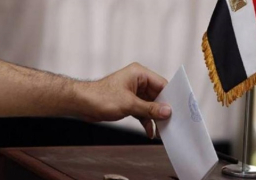 بدء تصويت المصريين باليابان في الاستفتاء على التعديلات الدستورية