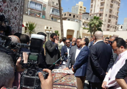 رئيس الوزراء يتفقد مستشفى رشيد المركزي في البحيرة