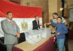 سفير مصربألمانيا: الاستفتاء يسير بشكل جيد وسط أجواء إيجابية