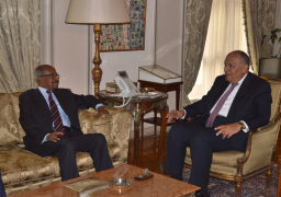 شكرى يؤكد اهتمام مصر بتطوير العلاقات الثنائية مع إريتريا