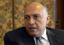 شكري يوجه بانهاء الاستعدادات للاستفتاء على التعديلات الدستورية بالخارج