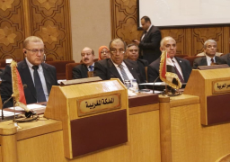 عبد العاطي وأبو ستيت يحضران أول اجتماع لوزراء المياه والزراعة العرب