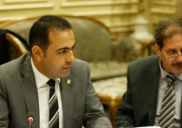 نائبان يلتقيان المصريين في ألمانيا للتعريف بالتعديلات الدستورية