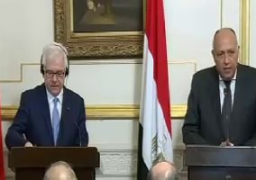 وزير الخارجية: الحملة الأمنية لتطهير سيناء تتم بمنطقة محدودة جدا من مساحتها