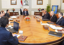 الرئيس السيسي يوجه بتعزيز جهود ضبط الأسواق وتشديد الرقابة على منافذ البيع