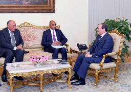 الرئيس السيسي يلتقي المدير التنفيذي لوكالة الاتحاد الافريقي للتنمية “نيباد”.