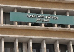 “القوى العاملة”: تجديد 23 ألف تصريح عمل للمصريين بالأردن خلال شهر