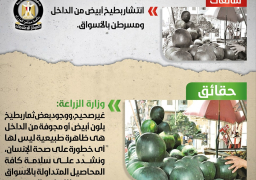 الحكومة تنفي ما تردد حول انتشار بطيخ أبيض من الداخل ومسرطن بالأسواق