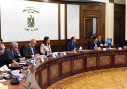 الحكومة توافق على تمويل دعم ريادة الأعمال بين مصر والبنك الدولي