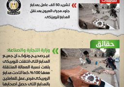 الحكومة: لا صحة لتشريد 50 ألف عامل بمدابغ مجرى العيون