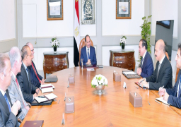 الرئيس يبحث مع “نوبل إنرجي” تطوير أنشطة الشركة في مصر