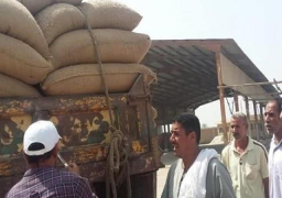 الزراعة تستلم تقاوي خام المحاصيل الشتوية من المزارعين