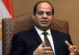 السيسي يؤكد استعداد مصر لدعم جامبيا بمختلف المجالات