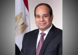 مركز حقوقى بالنرويج: السيسي قاد مصر نحو تحقيق نهضة اقتصادية