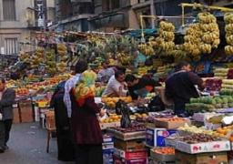 بتخفيضات تصل لـ30%.. زيادة معروض السلع الغذائية بمنافذ الزراعات المحمية