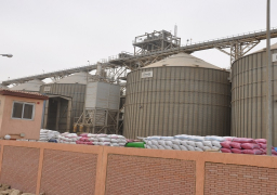 تسليم 4507 أطنان قمح لصوامع وشون محافظة الأقصر