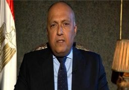 وزير الخارجية يستقبل نظيره الفنلندي.. اليوم