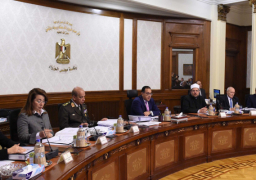 في اجتماع مجلس الوزراء.. وزير المالية يستعرض نتائج نظام الإقرارات الضريبية الإلكتروني