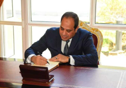 قرار جمهوري بتخصيص مساحة 15 فدانا بأسوان لإنشاء محطة للطاقة الشمسية